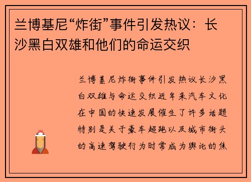 兰博基尼“炸街”事件引发热议：长沙黑白双雄和他们的命运交织