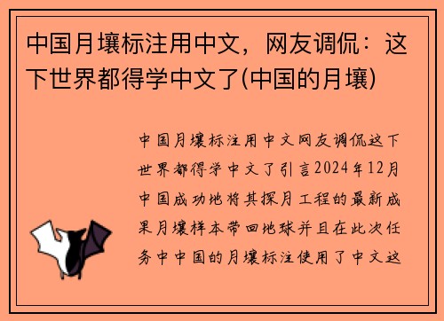 中国月壤标注用中文，网友调侃：这下世界都得学中文了(中国的月壤)