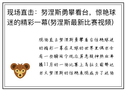 现场直击：努涅斯勇攀看台，惊艳球迷的精彩一幕(努涅斯最新比赛视频)